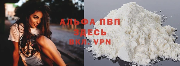 стаф Лабытнанги