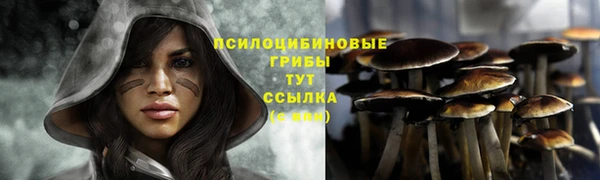 стаф Лабытнанги