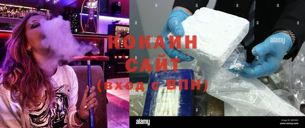 гидра Лагань