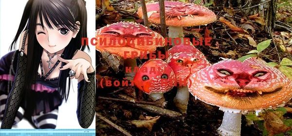 стаф Лабытнанги