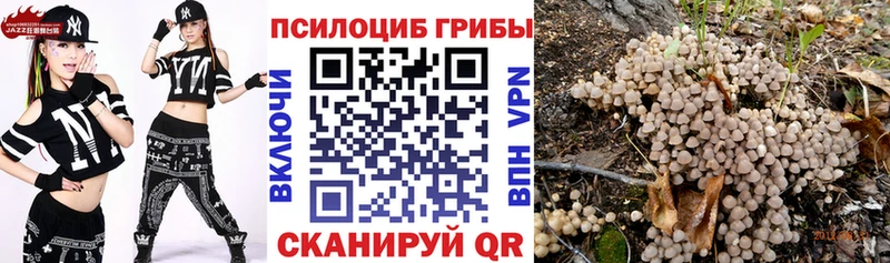 Купить закладки  Лихославль  Псилоцибиновые грибы мицелий 
